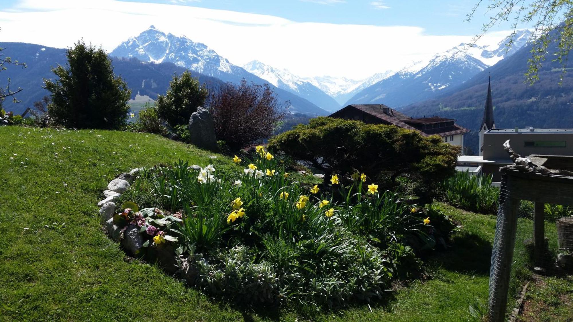 Ferienwohnungen Tiroler Alpenhof Innsbruck Exteriör bild