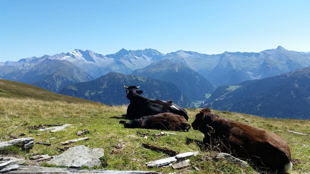 Ferienwohnungen Tiroler Alpenhof Innsbruck Exteriör bild