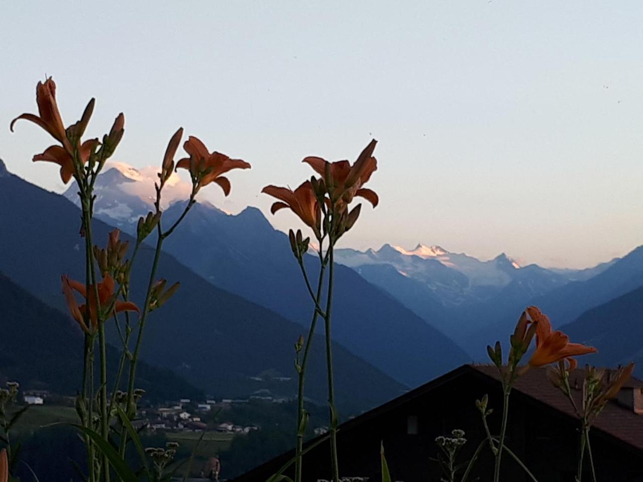 Ferienwohnungen Tiroler Alpenhof Innsbruck Exteriör bild
